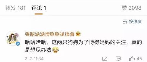 吃瓜娱乐常用bgm